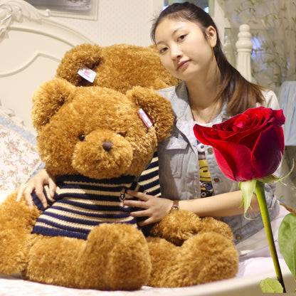 Genuine teddy panda cuddle bear plush teddy bear doll doll birthday gift for girl