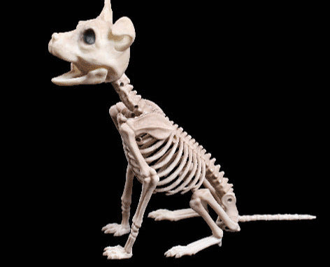Halloween Decoration Artificial Animal Skeleton